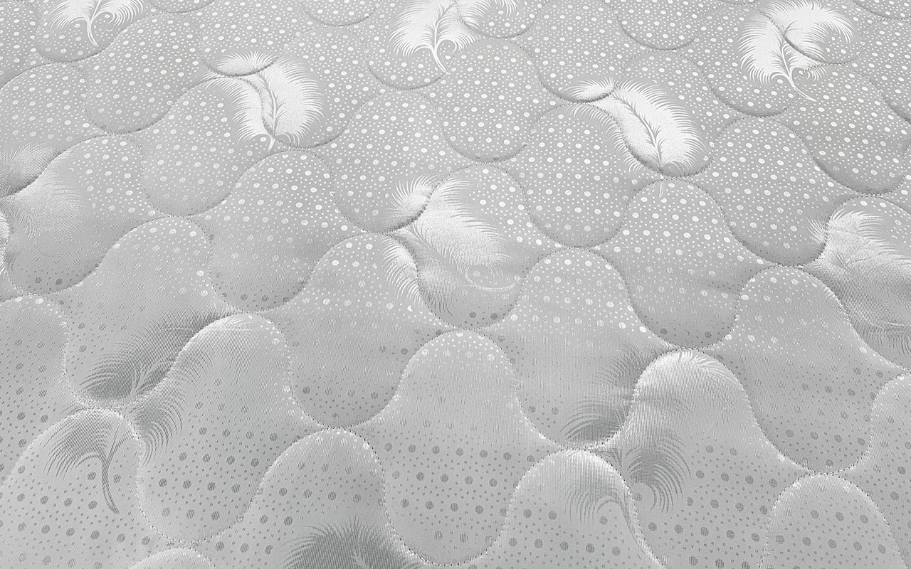 Dimax Оптима Ролл Хард фото 12